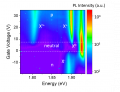 Observation d'une importante polarisation de vallée des excitons chargées dans des monocouches de MoS2